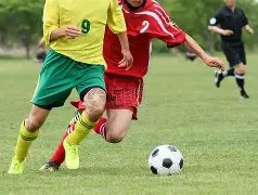 广州豹队官,冯峰正式接,棒主帅大旗,Bet188,Sports,金宝博188bet体育,体育直播,体育赛事,APP下载,官方网地址